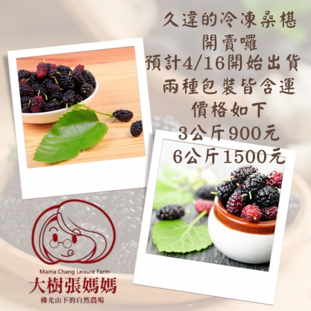 冷凍桑椹開始訂購囉！！